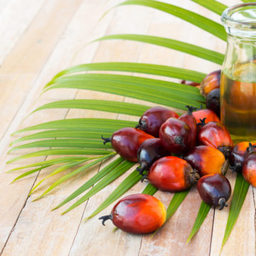 Międzynarodowy Dzień bez Oleju Palmowego – co z nim nie tak?